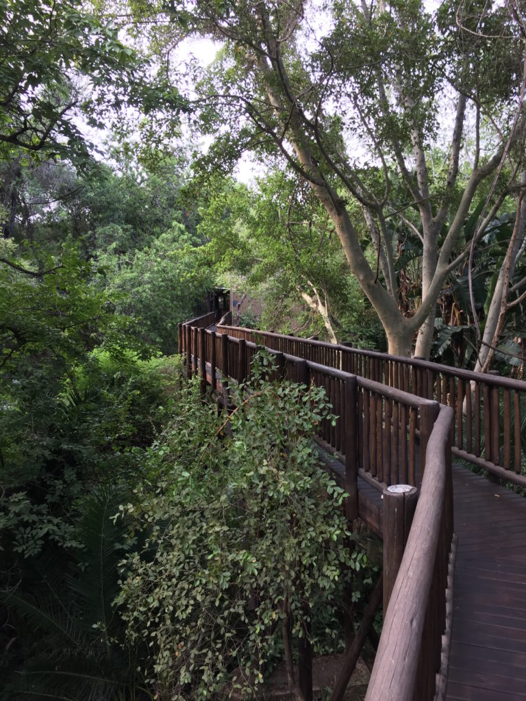 Walkway to the lobby at Protea by Marriott Kruger Gate Hotel