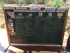 Safari sightings board