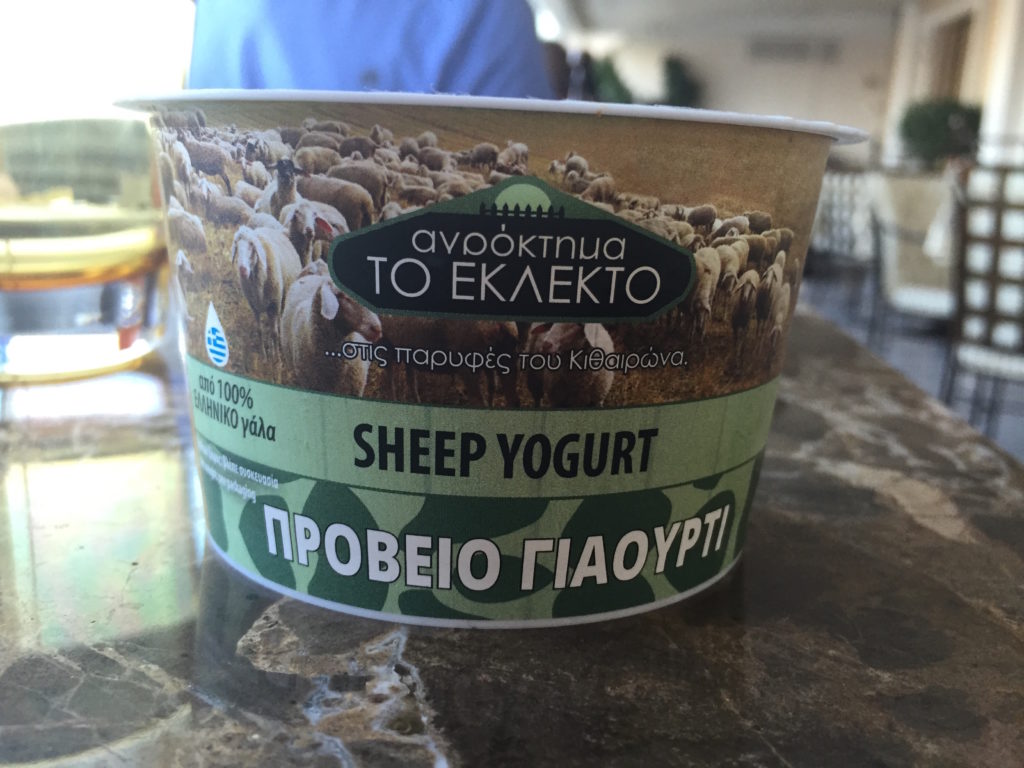 Sheep Yogurt