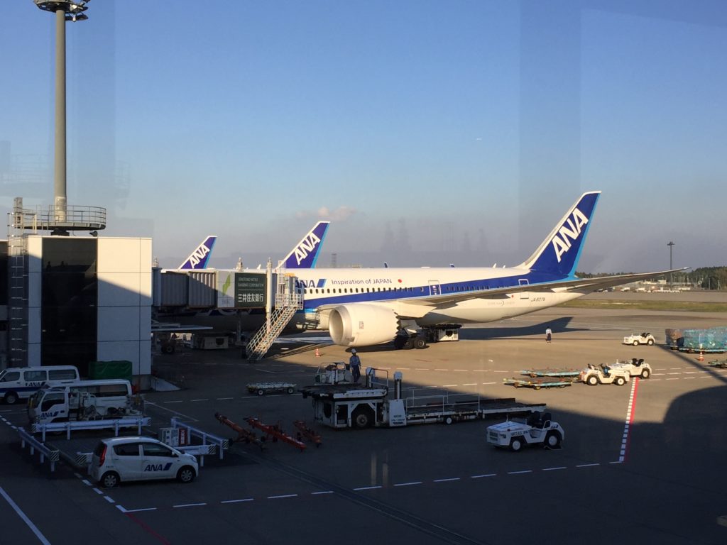 ANA Dreamliner in Narita