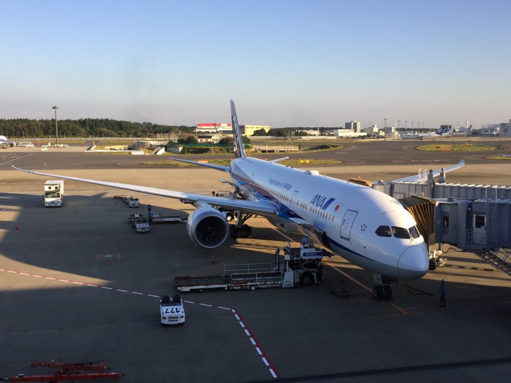 ANA Dreamliner in Narita