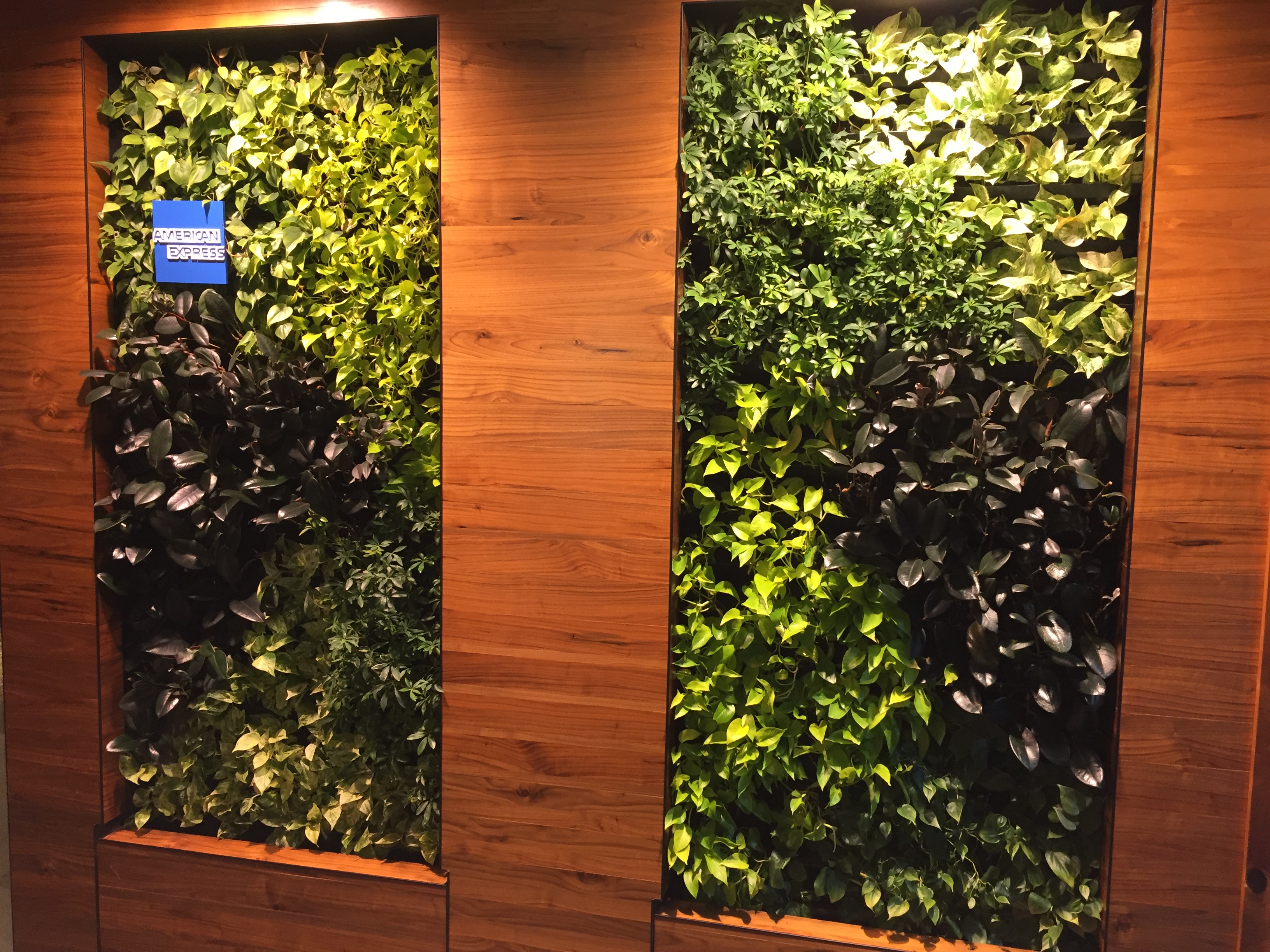 American Express Centurion Lounge