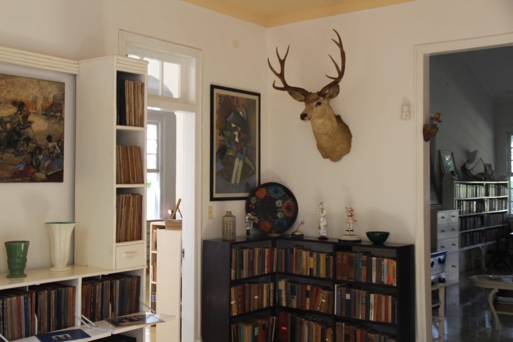 a room with a bookcase and a deer head