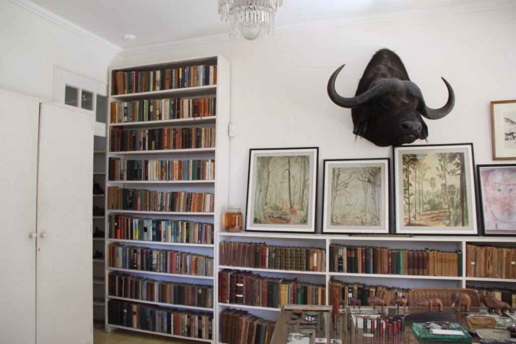 a room with a bookcase and a fake head of a buffalo