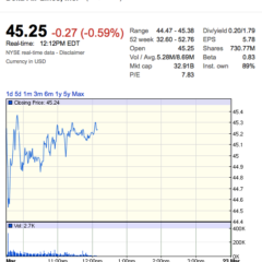 US Airline Stocks Fall because of the US Travel Electronics Ban