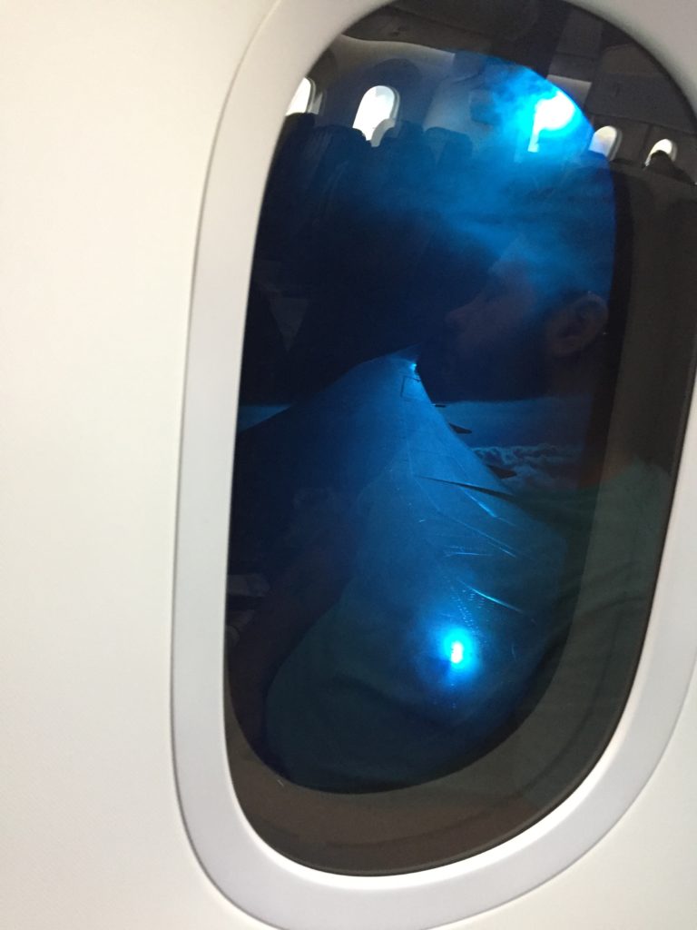 ANA Dreamliner Window Dimming