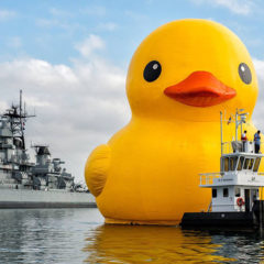 World’s Largest Rubber Duck is coming to Seattle!