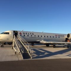 I just flew on a Delta Airlines Government Subsidized Flight!