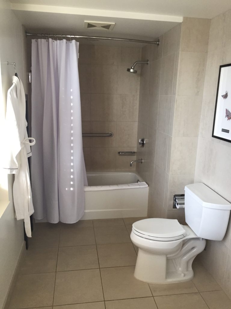 a bathroom with a shower curtain and toilet