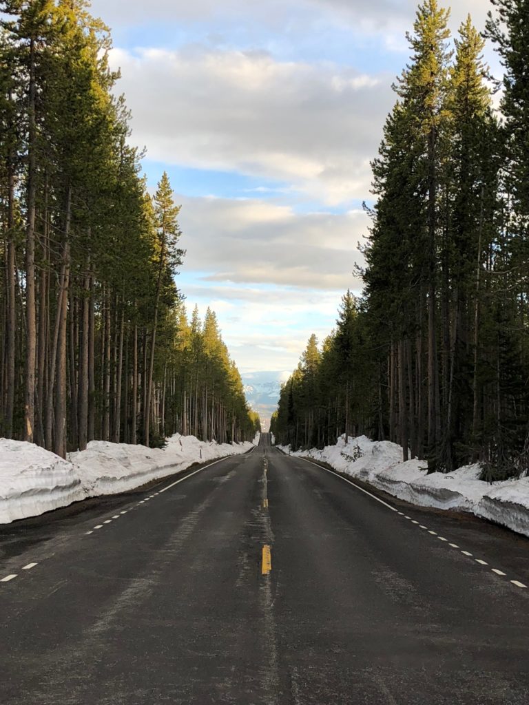 a road with trees and snow on the side
