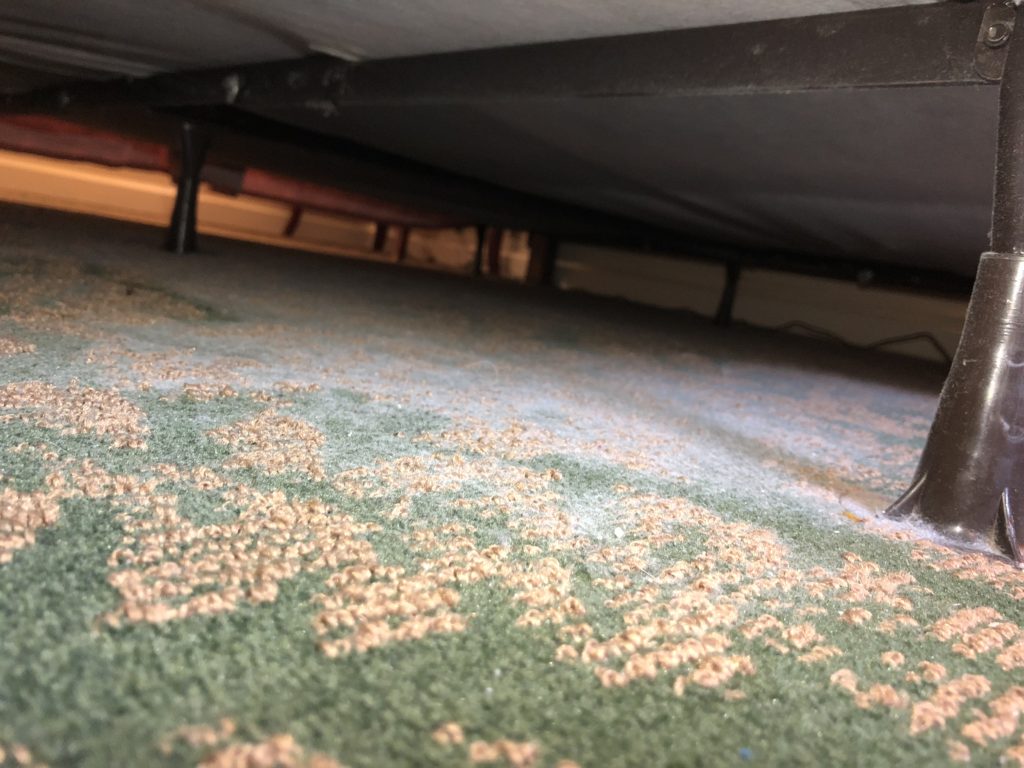 a carpet under a bed