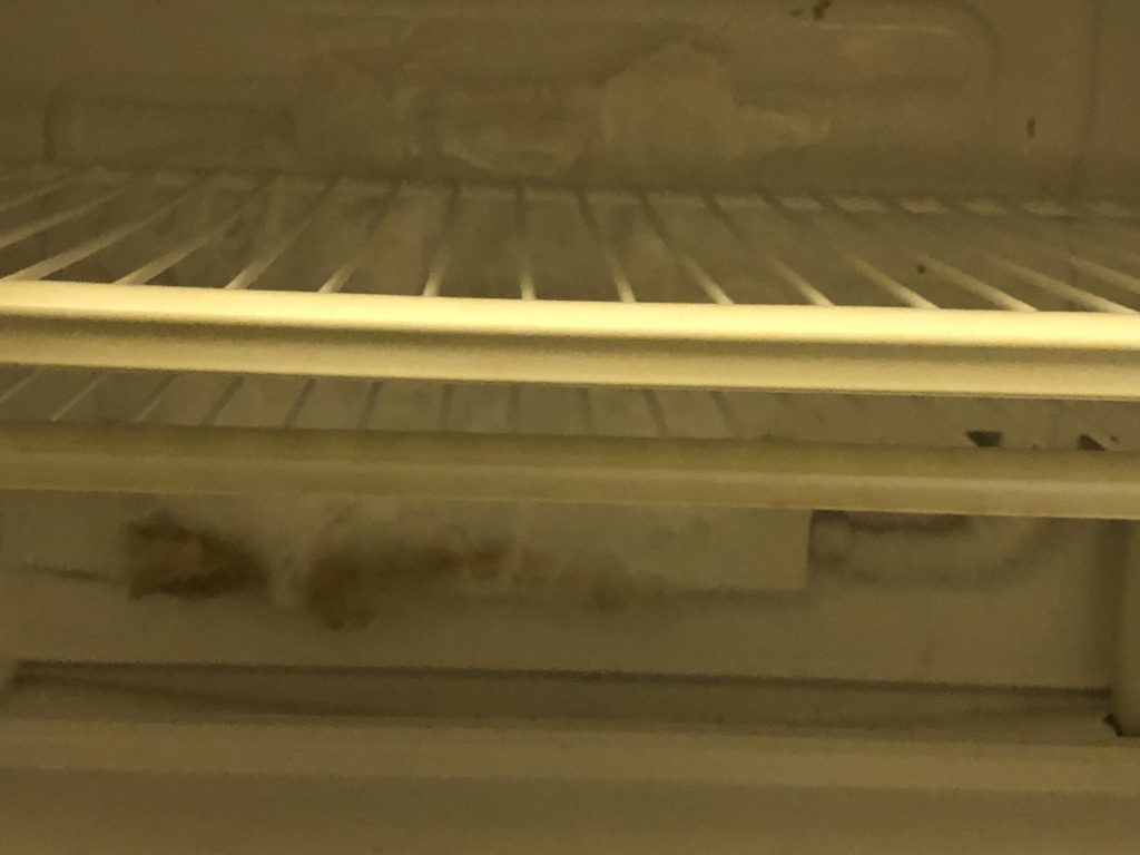 a white shelf in a refrigerator