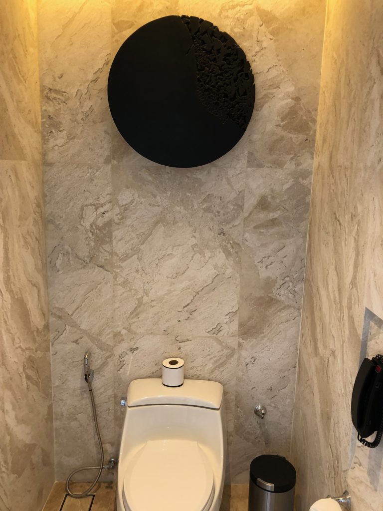 a toilet in a bathroom