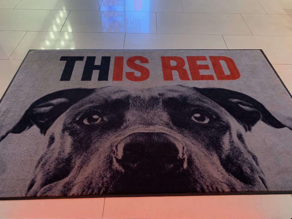 a rug with a dog face on it