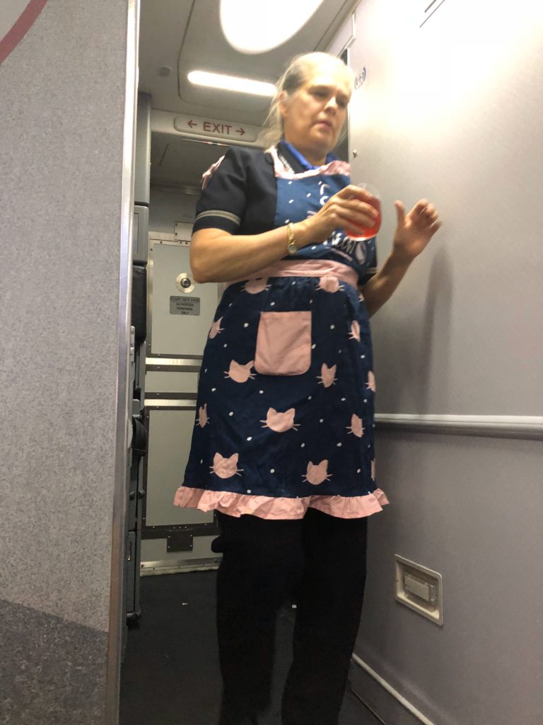 a woman in an apron standing in a doorway