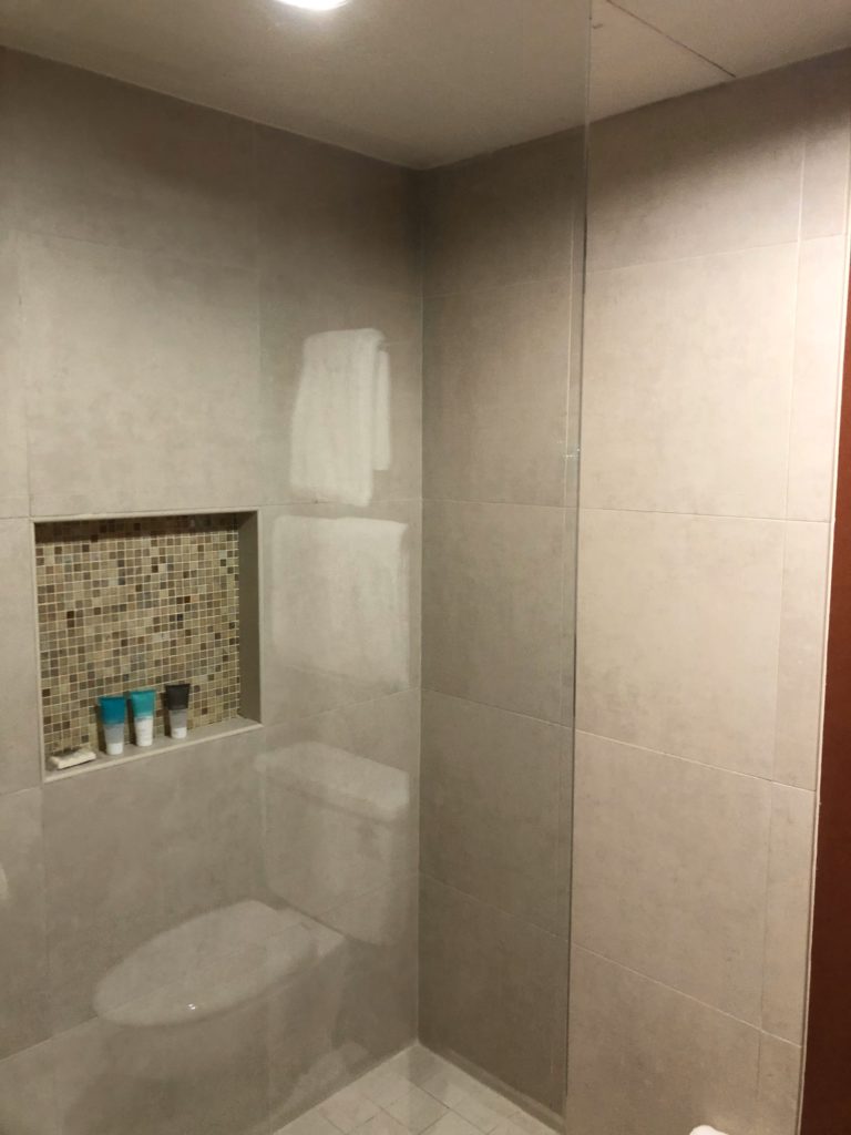 a shower with a toilet and a shelf