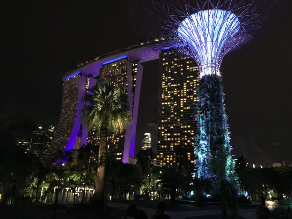 a tall buildings with trees and plants at night