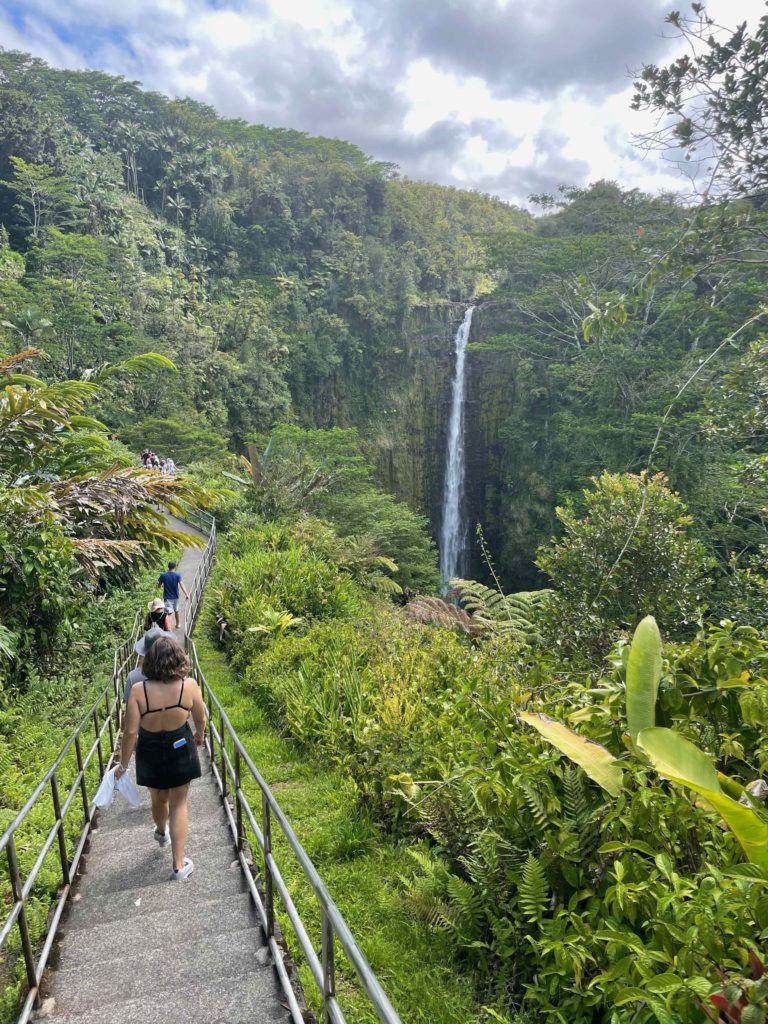 a group of people walking on a path with a waterfall