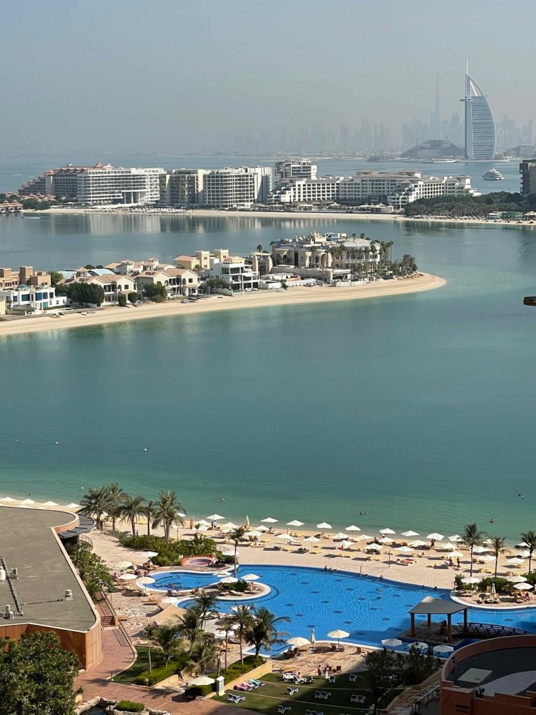 a body of water with buildings and a beach